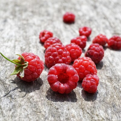 raspberry,  różowy,  drewno,  summer,  july